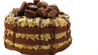 Thumbnail for Brill German Chocolate Icing with Pecans 34 pounds RTU